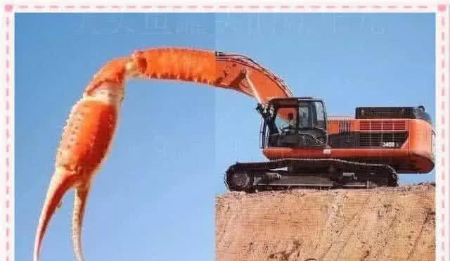 开云体育在线-关于网友霸气蓝翔三大内幕曝光的信息